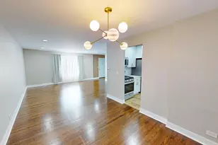 1321 Pitner Ave, Evanston, IL 60201 - Photo 8