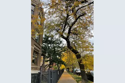 2057 N Kedzie Avenue #3, Chicago, IL 60647 - Photo 42