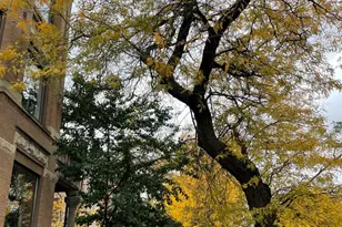 2057 N Kedzie Ave, Chicago, IL 60647 - Photo 42