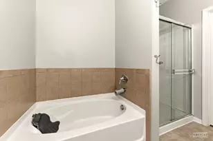 2113 Tremont Ln, Joliet, IL 60431 - Photo 20