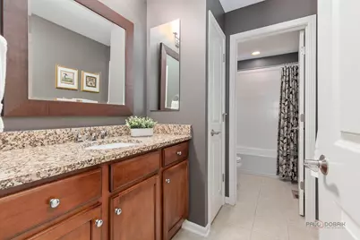 20451 N Joshua Court, Deer Park, IL 60010 - Photo 22