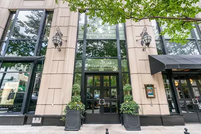 11 E Walton Street #4202, Chicago, IL 60611 - Photo 44