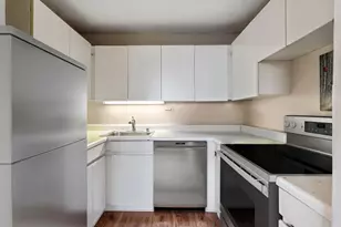 440 N Wabash Ave, Chicago, IL 60611 - Photo 10