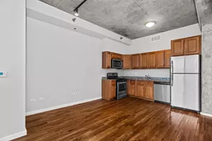 1620 S Michigan Ave, Chicago, IL 60616 - Photo 6