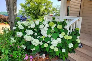 26-64 Blackwood Ct, Lanark, IL 61046 - Photo 6