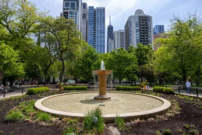 1140 N La Salle Drive #407, Chicago, IL 60610 - Photo 40