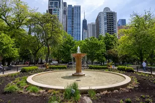 1140 N La Salle Dr, Chicago, IL 60610 - Photo 40