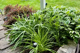 22 Rodeo Dr, Burr Ridge, IL 60527 - Photo 42