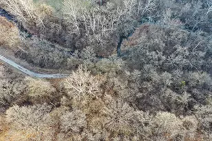 2920 Vine St, Danville, IL 61834 - Photo 4