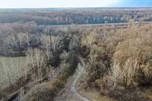 2920 Vine St, Danville, IL 61834 - Photo 6