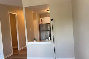 3041 S Michigan Ave, Chicago, IL 60616 - Photo 12