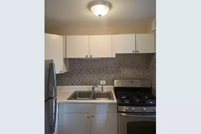 3041 S Michigan Avenue #106, Chicago, IL 60616 - Photo 12