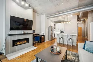 700 N Larrabee St, Chicago, IL 60654 - Photo 12