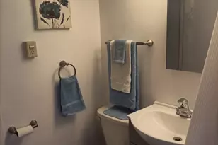 154 Hemlock St, Park Forest, IL 60466 - Photo 18