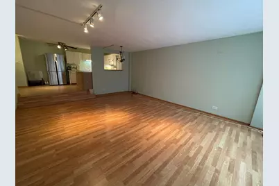 230 E Ontario Street #402, Chicago, IL 60611 - Photo 4