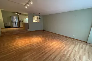 230 E Ontario St, Chicago, IL 60611 - Photo 4