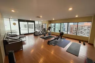 230 E Ontario St, Chicago, IL 60611 - Photo 14