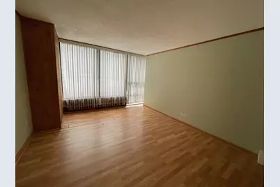 230 E Ontario Street #402, Chicago, IL 60611 - Photo 10