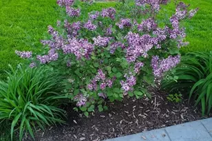 1709 Belcourt, Elgin, IL 60120 - Photo 38