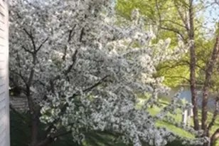 510 Harlowe Ln, Naperville, IL 60565 - Photo 34