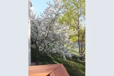 510 Harlowe Lane, Naperville, IL 60565 - Photo 46