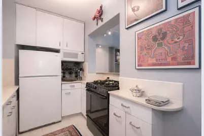 1150 N Lake Shore Drive #8K, Chicago, IL 60611 - Photo 8