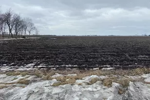 28200 S Lagrange Hwy, Peotone, IL 60468 - Photo 1