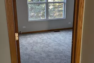 28764 W Pond View Dr, Lakemoor, IL 60051 - Photo 10