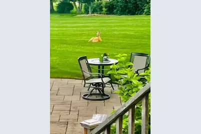 635 Signal Hill Road, North Barrington, IL 60010 - Photo 62