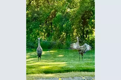 635 Signal Hill Road, North Barrington, IL 60010 - Photo 60