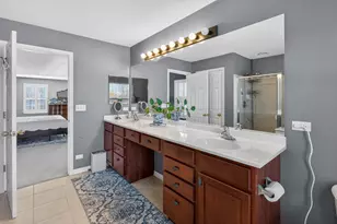 2458 Cushing Ln, Aurora, IL 60503 - Photo 20