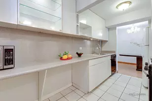 9 Oak Creek Dr, Buffalo Grove, IL 60089 - Photo 16