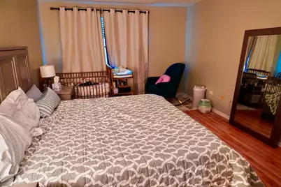 18161 Mager Drive, Tinley Park, IL 60487 - Photo 14