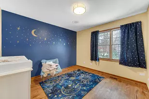 18 Honey Ln, New Lenox, IL 60451 - Photo 16