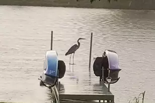 22545 S Spencer Rd, New Lenox, IL 60451 - Photo 46