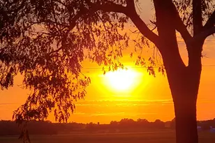 [Address not provided], Harvard, IL 60033 - Photo 36