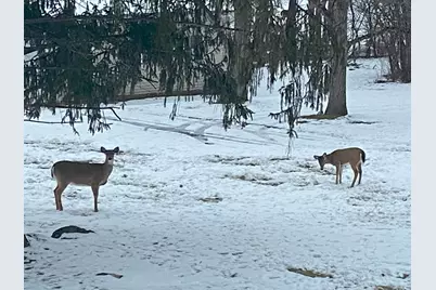 17140 Central Avenue, Tinley Park, IL 60477 - Photo 30