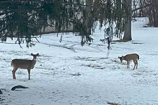 17140 Central Ave, Tinley Park, IL 60477 - Photo 30