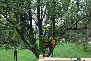 17140 Central Ave, Tinley Park, IL 60477 - Photo 32