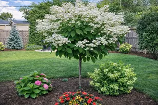 857 S Euclid Ave, Elmhurst, IL 60126 - Photo 36