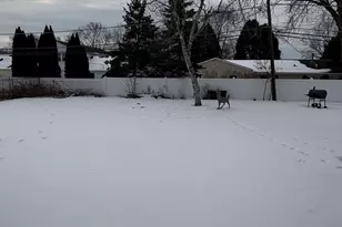 170 Cherrywood Rd, Buffalo Grove, IL 60089 - Photo 8