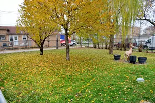 5239 N Virginia Ave, Chicago, IL 60625 - Photo 26