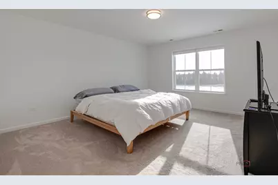 2490 Olivia Court, Wauconda, IL 60084 - Photo 12