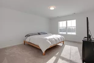 2490 Olivia Ct, Wauconda, IL 60084 - Photo 12