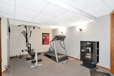 1360 Pheasant Chase Circle, Beecher, IL 60401 - Photo 20