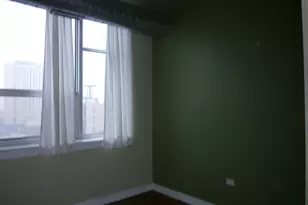 1305 S Michigan Ave, Chicago, IL 60605 - Photo 8