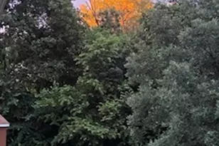 120 Apple Ave, Lemont, IL 60439 - Photo 34