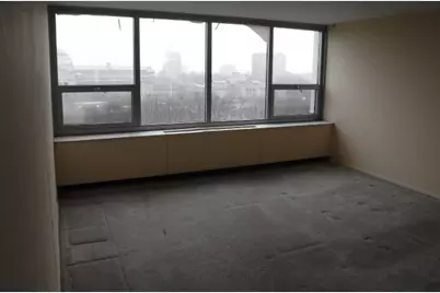 1700 E 56th Street #801, Chicago, IL 60637 - Photo 12