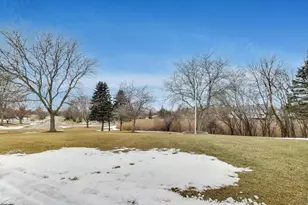 18 Rosewood Dr, Hawthorn Woods, IL 60047 - Photo 38