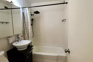 4800 S Chicago Beach Dr, Chicago, IL 60615 - Photo 12